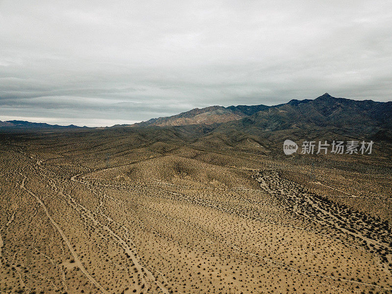 穿过莫哈韦沙漠的尘土飞扬的道路