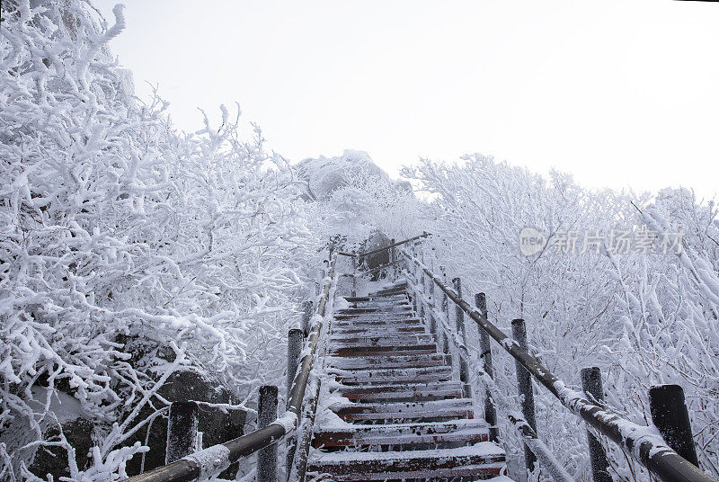 德奥玉山雪景