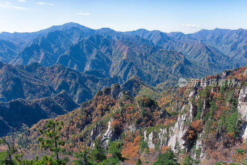 韩国的秋山