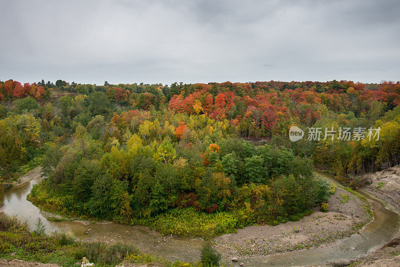 秋天的颜色报告:10月初，深谷的树叶颜色发生了变化