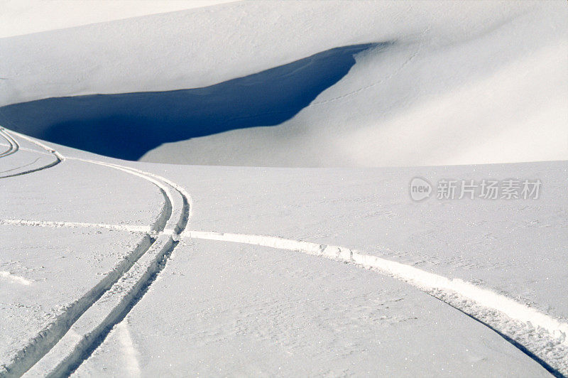 粉状雪中的滑雪道