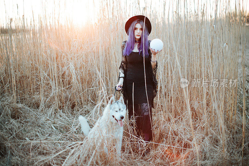 野地里的女女巫和灰狼