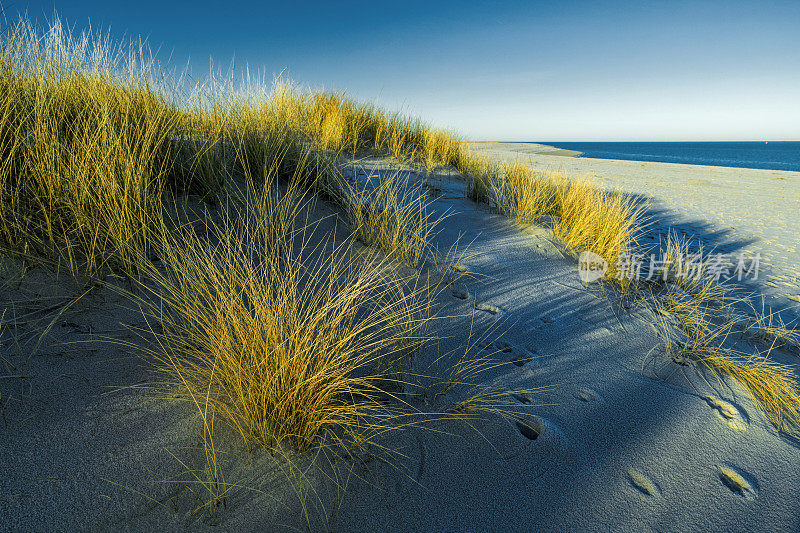 德国北海地区西尔特岛海滩上的沙丘