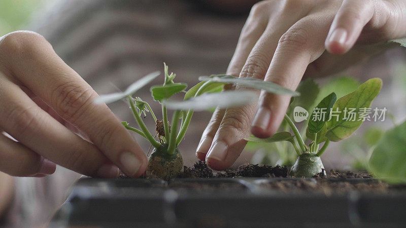 年轻女子把绿色的幼苗种植在新鲜的土壤里。她喜欢在后院休息。