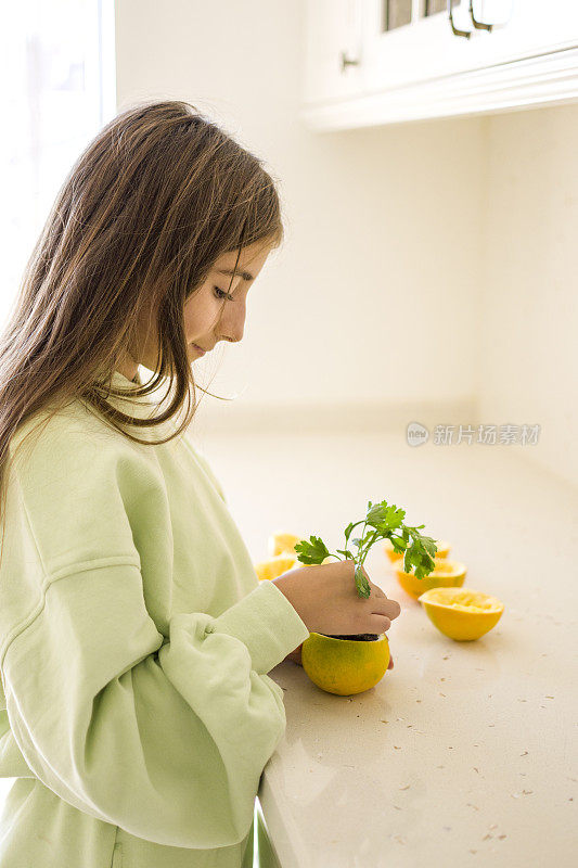 美丽的女孩又在土壤里发芽了