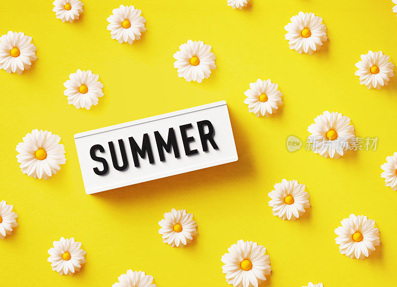 夏日书写的白色灯箱，坐在黄色背景的白色雏菊中间