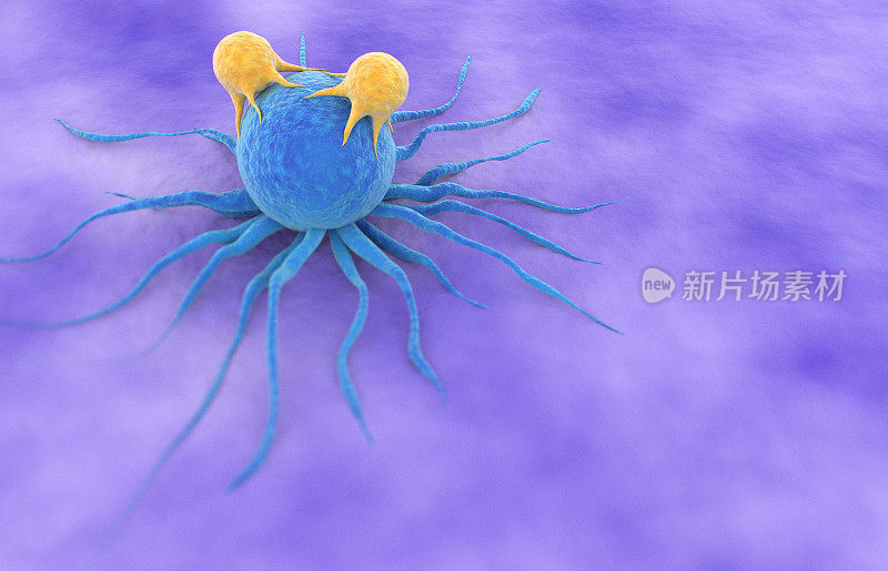 t细胞攻击癌细胞