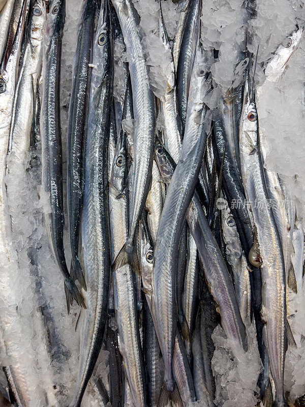 鲜鱼在鱼市场，加尔鱼(扎加纳)