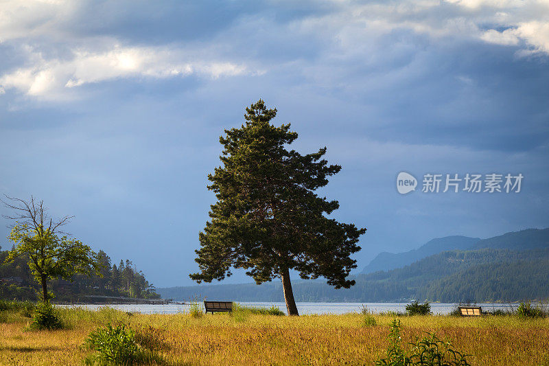 坎贝尔河滨水区