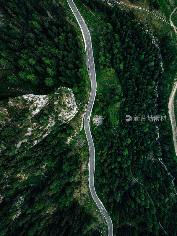 森林中蜿蜒道路的鸟瞰图