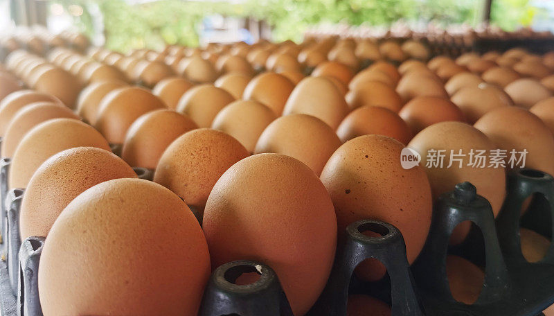 在经济低迷、油价高企、通货膨胀的时候，鸡蛋很贵。