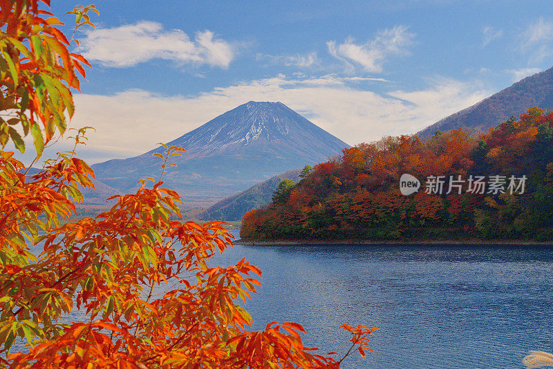 富士五湖秋叶色:元土湖