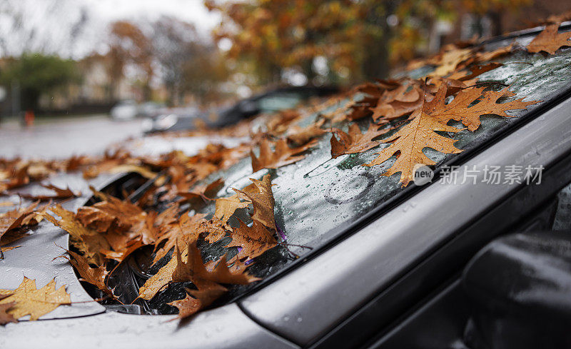 秋雨霏霏的一天，被树叶覆盖的停车场里的汽车。