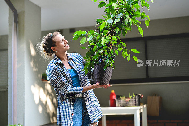 女性抱着新植物，在温室里享受园艺