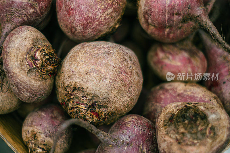 成熟的甜菜根特写