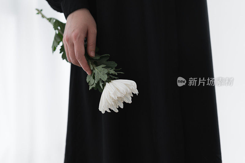 手里捧着一朵白色的菊花