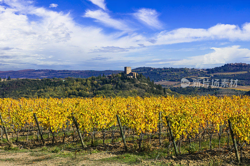意大利托斯卡纳风光。托斯卡纳的金色葡萄园。中世纪城堡的全景和黄色的葡萄葡萄酒。