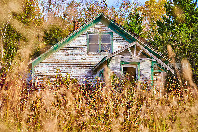 穿过黄草的田野，一座废弃的老房子
