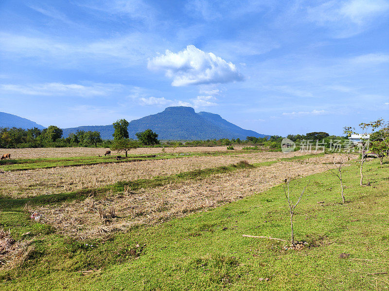 老挝占巴塞的绿色景观
