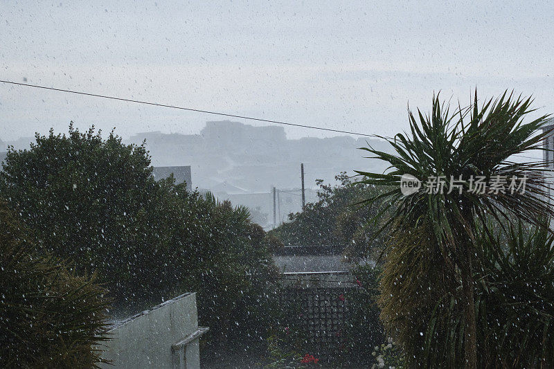 棕榈树和屋顶暴雨在彭泰尔，纽基，康沃尔在一个恶劣的天气6月的一天。