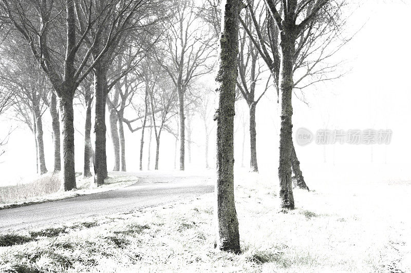 一个寒冷的下午，暴风雪中的冬日乡村风景
