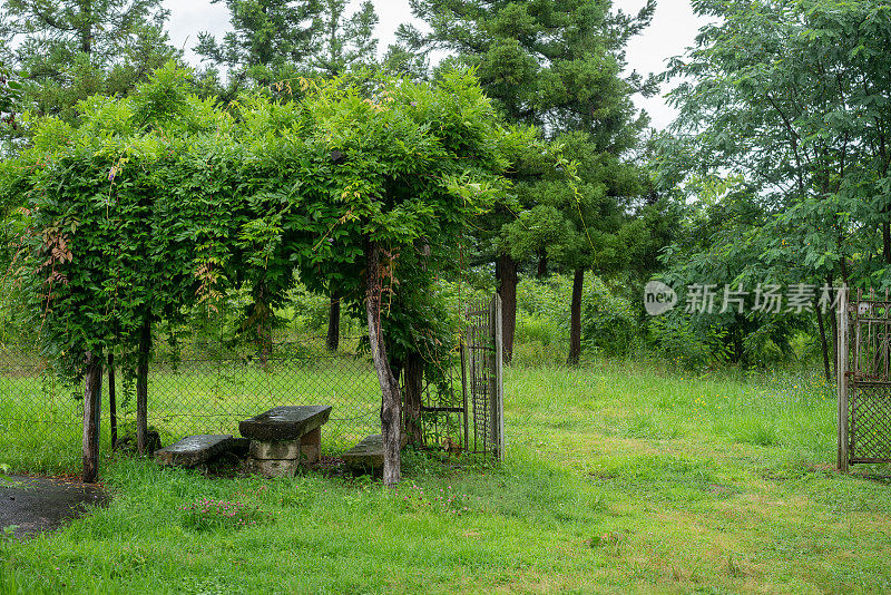 格鲁吉亚古里亚村一座老房子的花园大门