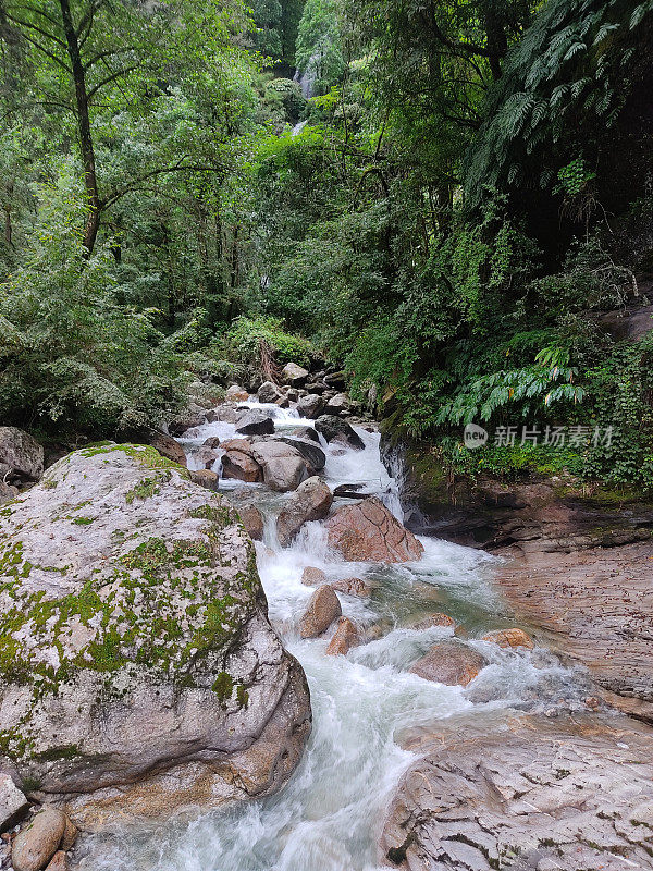 季风期间，喜马拉雅冰川河谷的美丽自然风光穿过喜马拉雅山脉郁郁葱葱的绿色森林