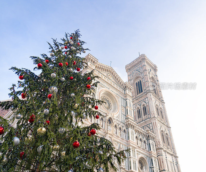 意大利托斯卡纳佛罗伦萨大教堂广场的圣诞树