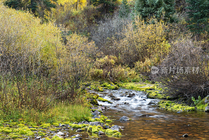 秋天的栗色小溪