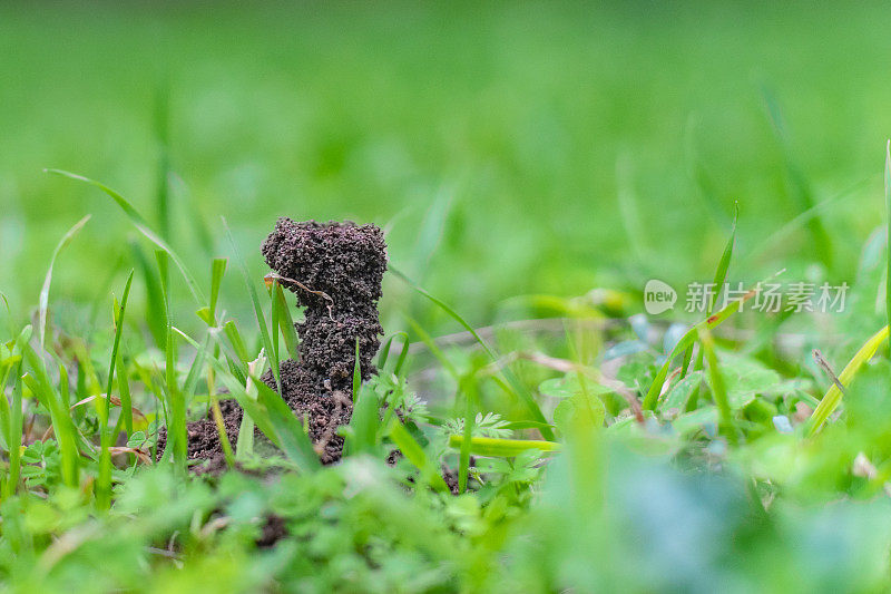 人群密集的地方