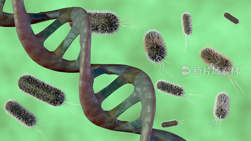 被几个杆状细菌包围的双螺旋DNA链