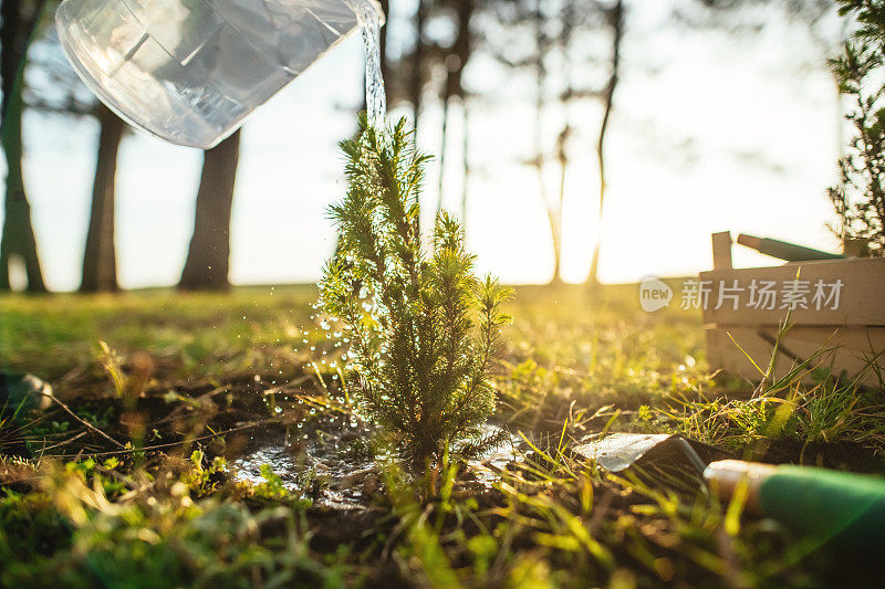 春天在户外植树的人