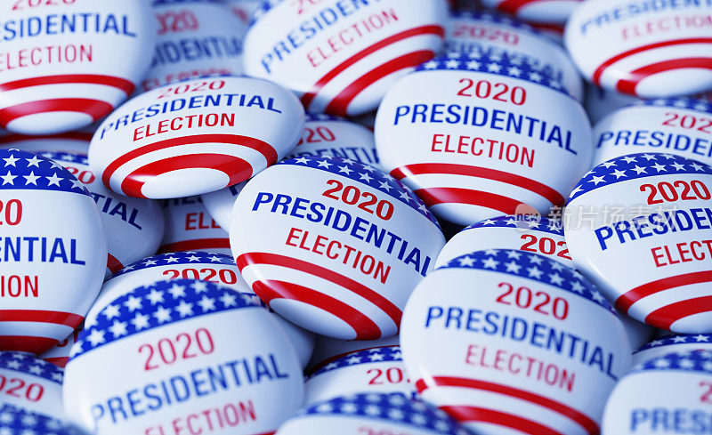 2020年总统选举书写徽章组