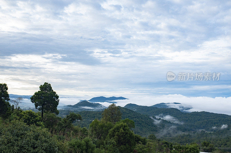 迷雾笼罩着墨西哥恰帕斯的山脉和丛林