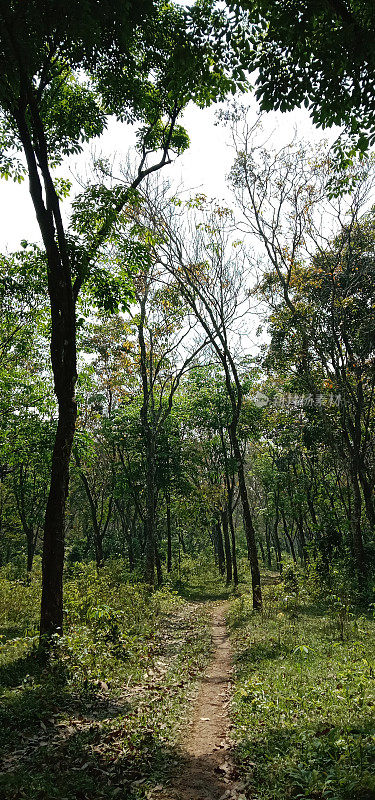 山间小路