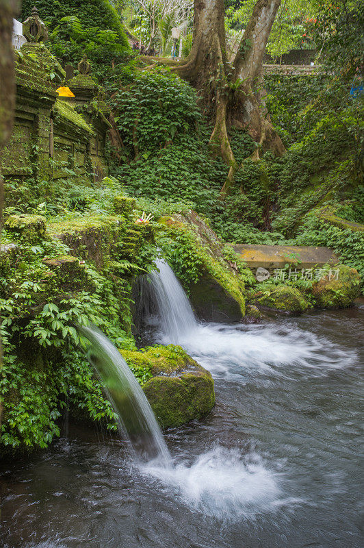 人们祈祷在寺庙的瀑布蒂尔塔Empul的famaus旅游景点在印度尼西亚巴厘岛北部