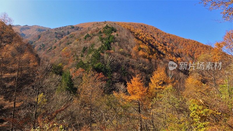 秋天的一座日本山