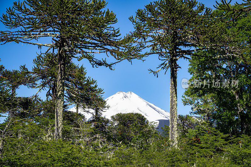 孔吉里奥国家公园的亚伊马火山