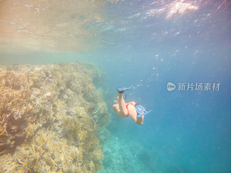 女子潜水在热带海洋，水下拍摄