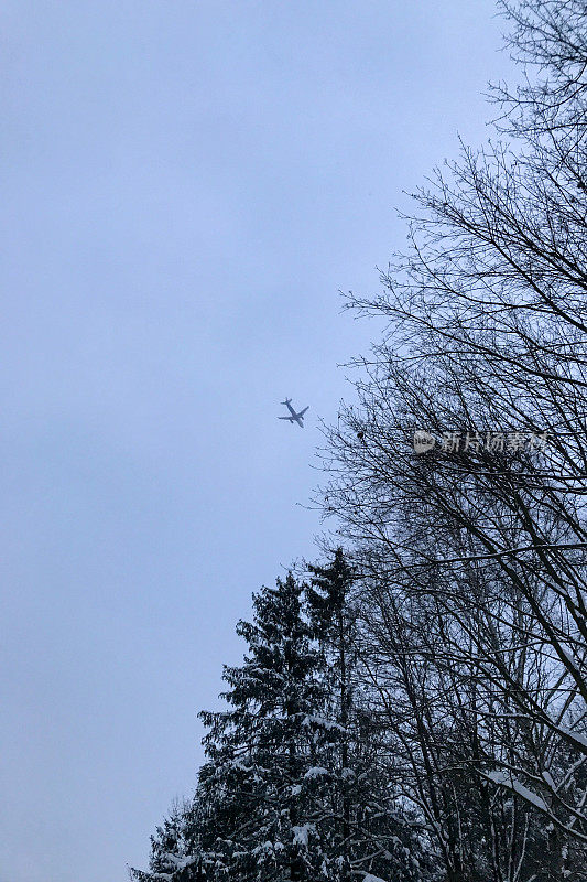 飞机在天空中飞过森林