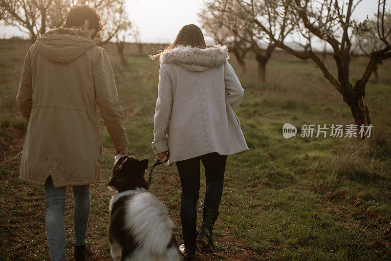 后视图的一个年轻夫妇散步他们的狗