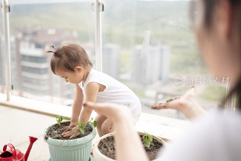 年轻的妈妈和她可爱的小女儿在自家阳台上种花