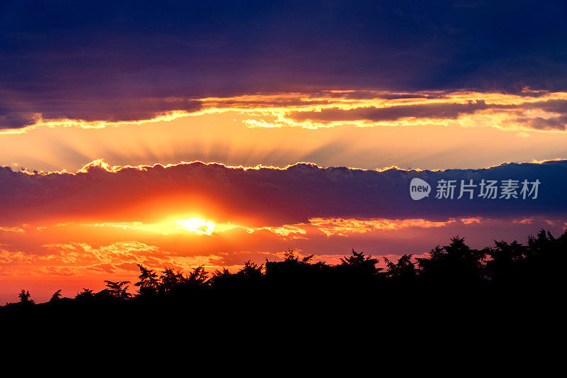 秋天，天空衬托出树的剪影