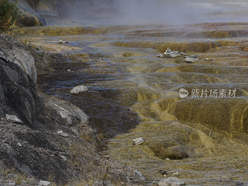 怀俄明州黄石公园的密涅瓦台猛犸温泉