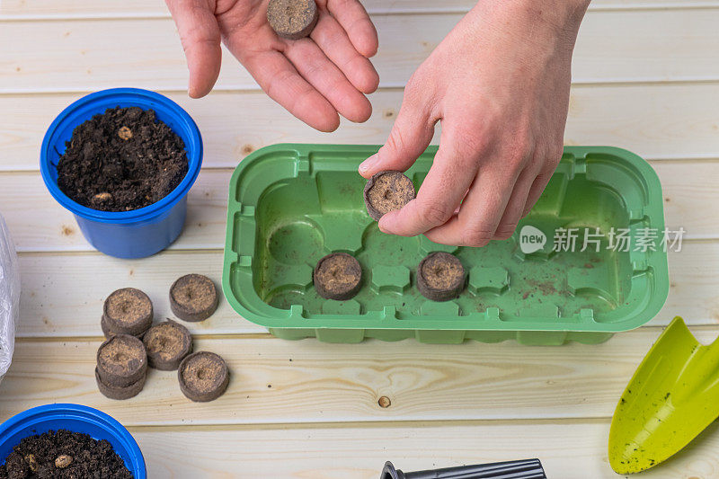 园丁把泥炭片和肥料放在塑料容器里给幼苗施肥。