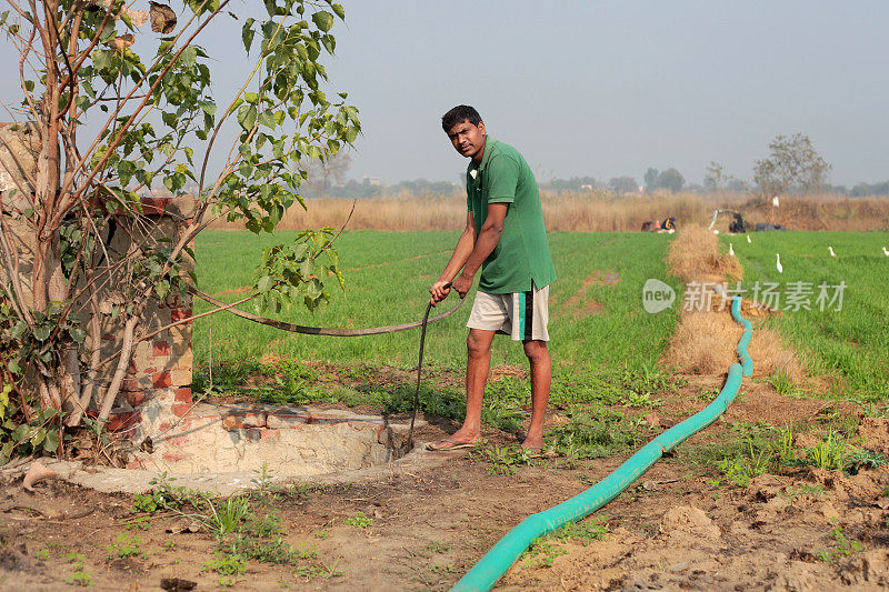 农民从绿色田野附近的水井里汲水