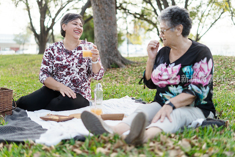 快乐成熟的女儿和年长的母亲野餐