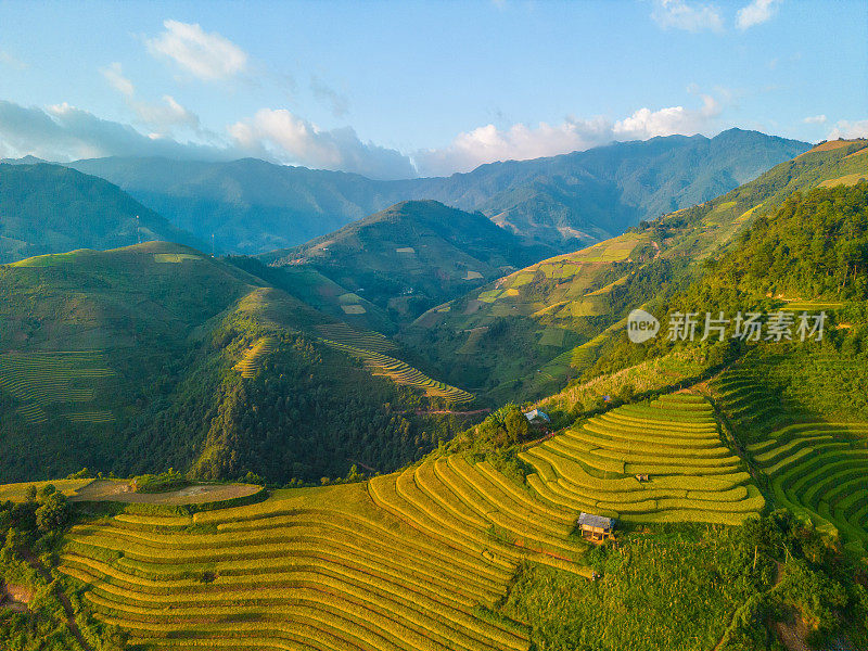 越南北部萨帕市附近木仓柴镇金色梯田的鸟瞰图。越南颜白，收获季节美丽的梯田