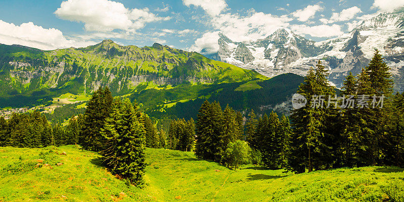 山的风景。Lauterbrunnen。瑞士。伯尔尼州。穆伦村庄。夏天。绿草