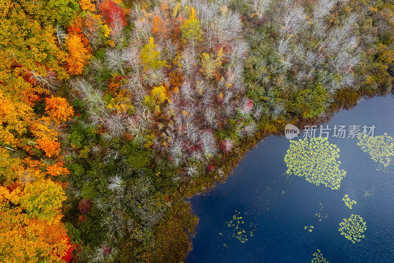 从上面看缅因州的秋天和池塘